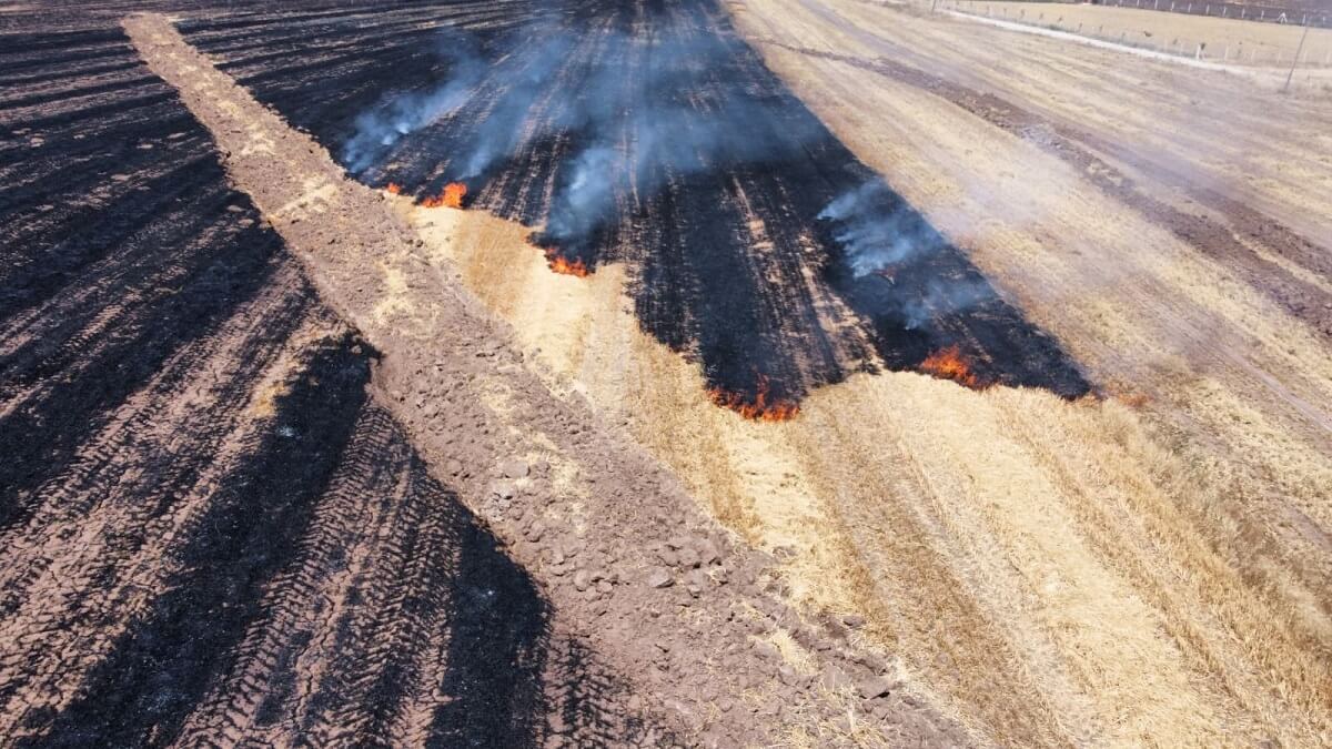 Küre Köyünde yaklaşık 70 dönüm arazinin kül olurken, yangın anı dronla görüntülendi (1)
