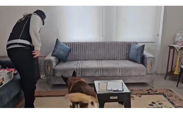 narkotik köpeği Zeus, uyuşturucuların saklandığı bölmeleri tespit etti