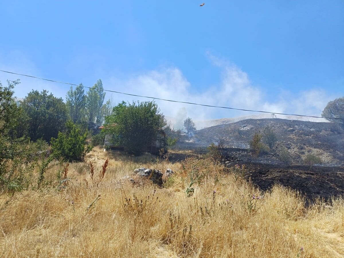 Olay, Alaca ilçesine bağlı Değirmendere köyünde meydana geldi (1)