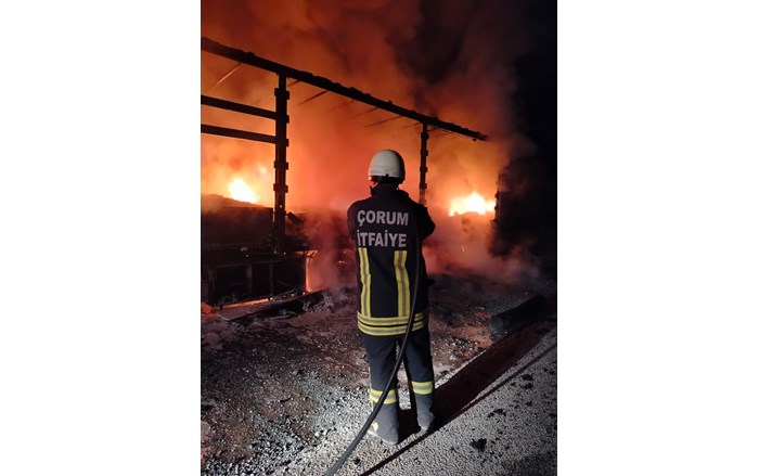 Olay, D100 karayolu Karaköy mevkiinde meydana geldi (2)