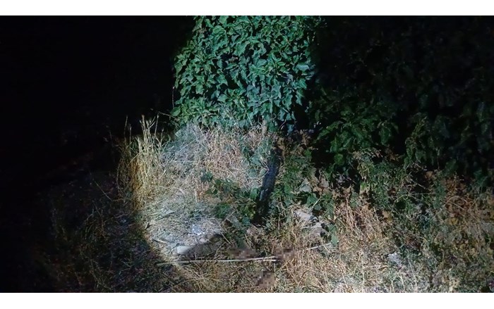 Olay, Kale Mahallesi İbik 4. Sokak'ta meydana geldi. (1)