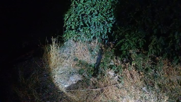 Olay, Kale Mahallesi İbik 4. Sokak'ta meydana geldi. (1)