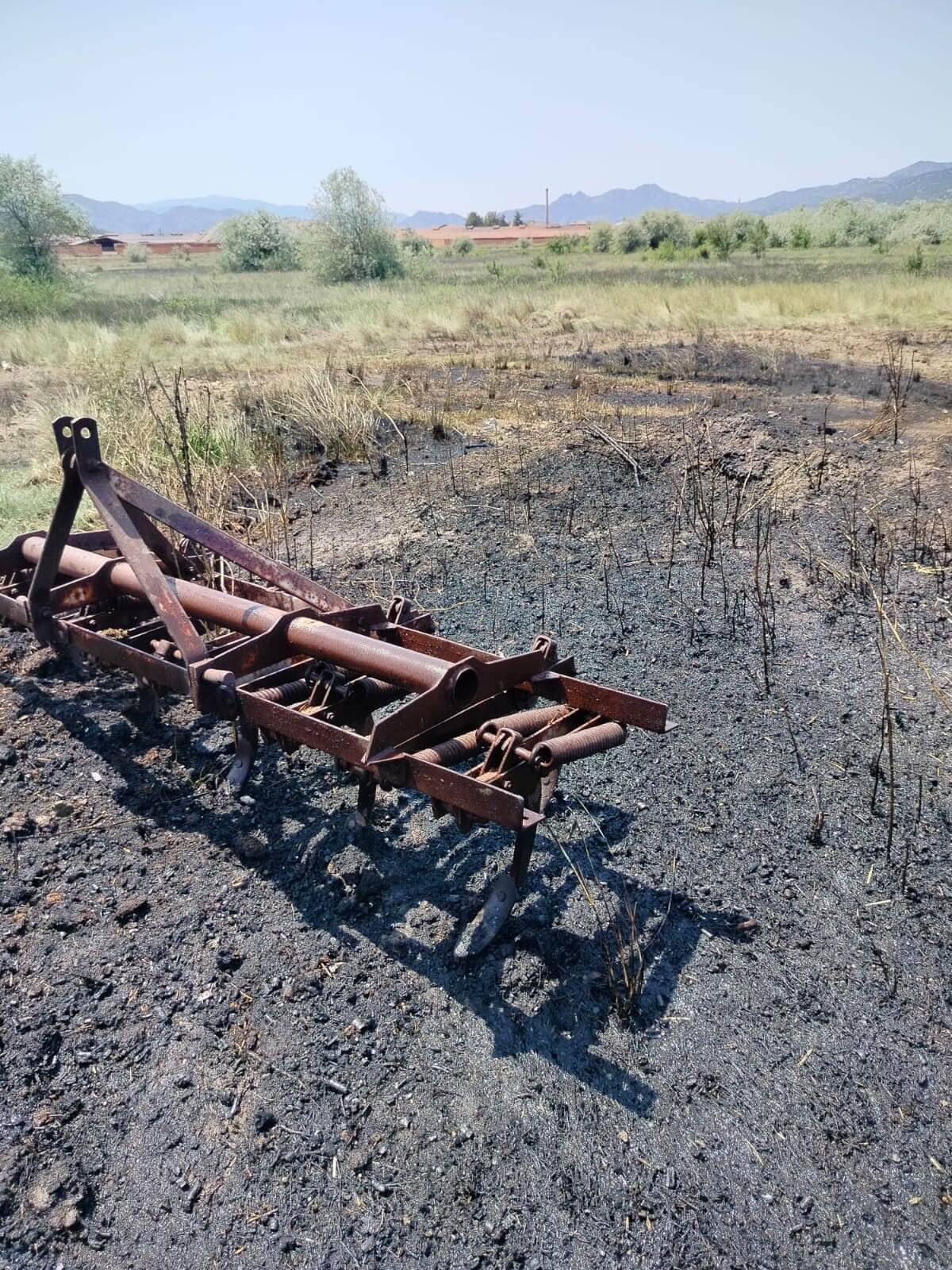 Olay, Osmancık ilçesi Çiftlikler Mahallesi Akyokuş mevkiinde meydana geldi