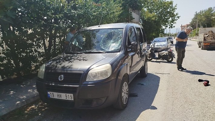 Olay, Osmancık ilçesi Esentepe Mahallesi Fatih Caddesi'ndeki Asri Mezarlık'ta meydana geldi (1)