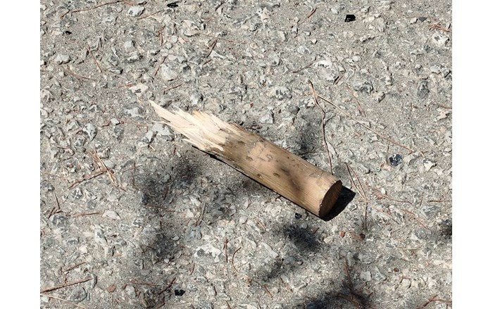 Olay, Osmancık ilçesi Esentepe Mahallesi Fatih Caddesi'ndeki Asri Mezarlık'ta meydana geldi (2)