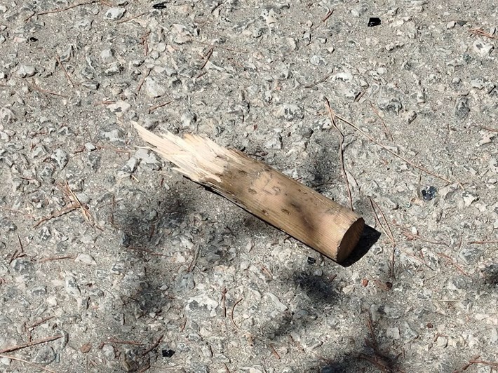 Olay, Osmancık ilçesi Esentepe Mahallesi Fatih Caddesi'ndeki Asri Mezarlık'ta meydana geldi (2)