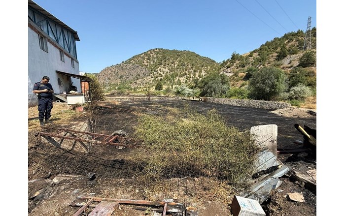 Olay, Temençe Mahallesi İstanbul Samsun karayolu kenarında meydana geldi (2)