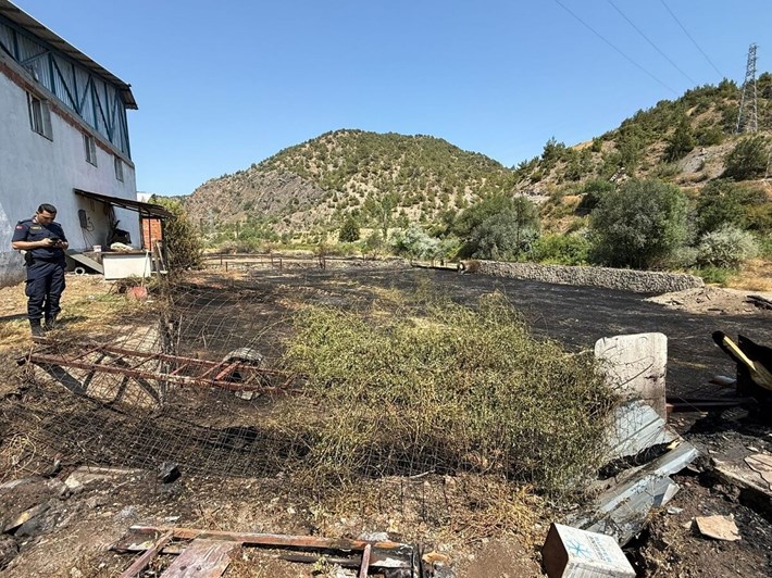 Olay, Temençe Mahallesi İstanbul Samsun karayolu kenarında meydana geldi (2)