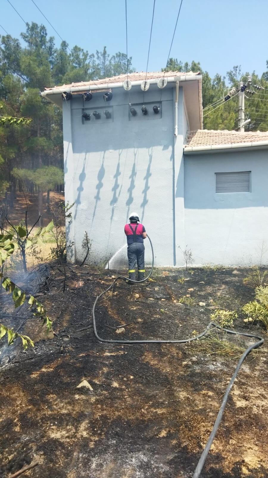 Ormanlık alanda ve trao binası yanında çıkan yangın, kısa sürede söndürüldü