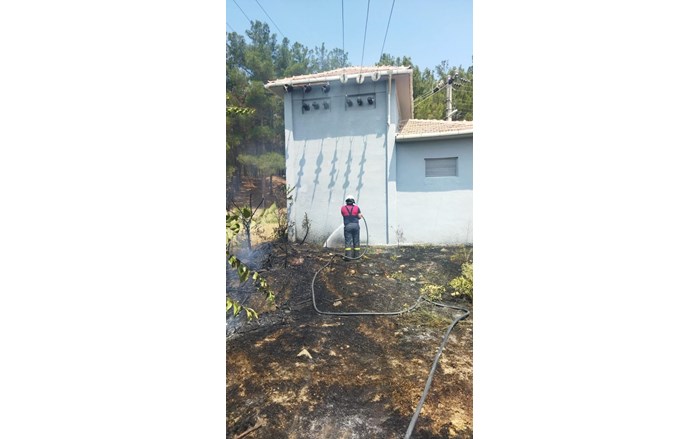 Ormanlık alanda ve trao binası yanında çıkan yangın, kısa sürede söndürüldü