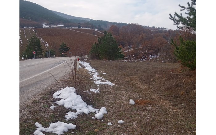 Ortaköy Kavakalan köyünün keskin virajı çözüm bekliyor (1)