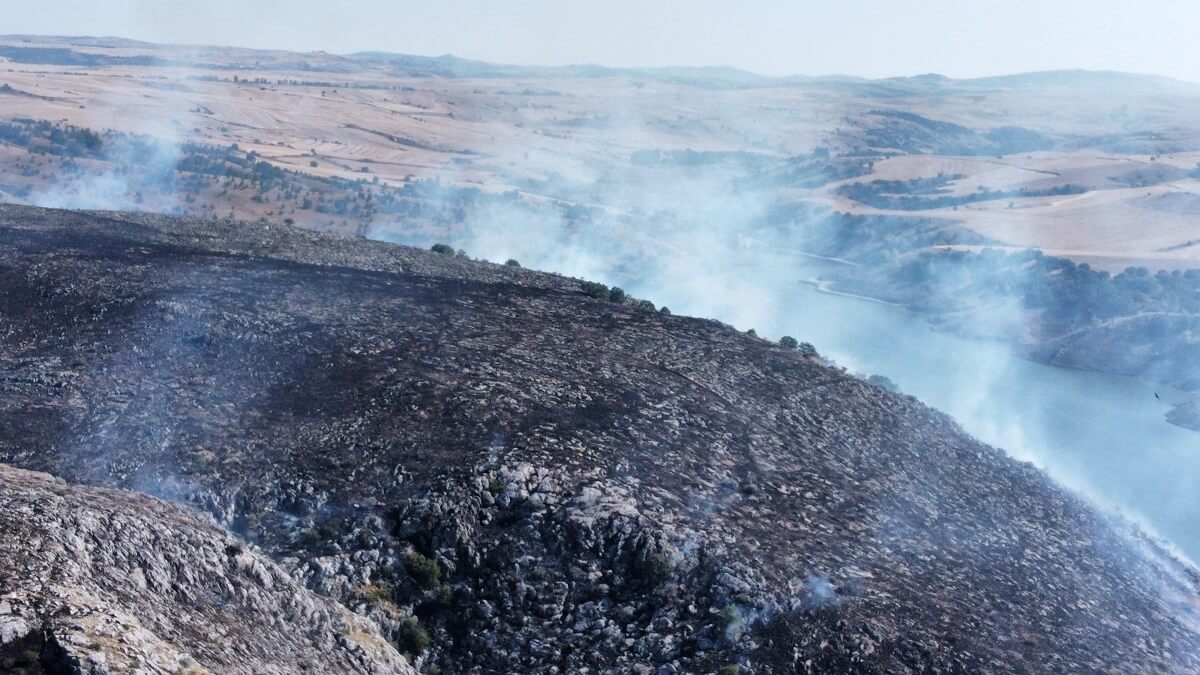 Rüzgarın da etkisiyle hızla büyüyen yangın, önce köy mezarlığına, ardından da ormanlık alana sıçradı (1)