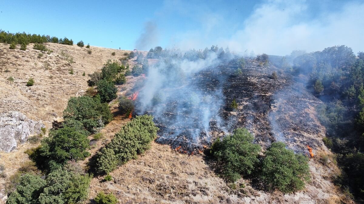 Rüzgarın da etkisiyle hızla büyüyen yangın, önce köy mezarlığına, ardından da ormanlık alana sıçradı (3)