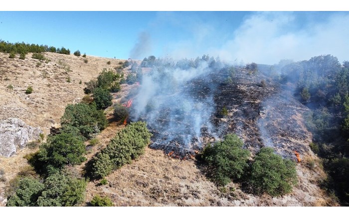Rüzgarın da etkisiyle hızla büyüyen yangın, önce köy mezarlığına, ardından da ormanlık alana sıçradı (3)