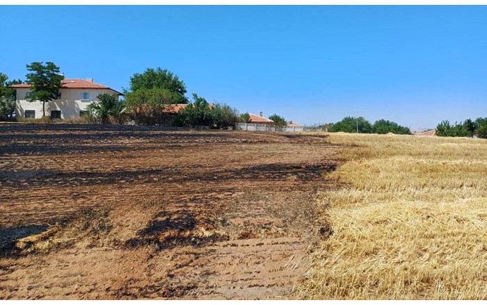 Rüzgarın etkisiyle hızla yayılan alevler mahallede kısa süreli paniğe neden oldu