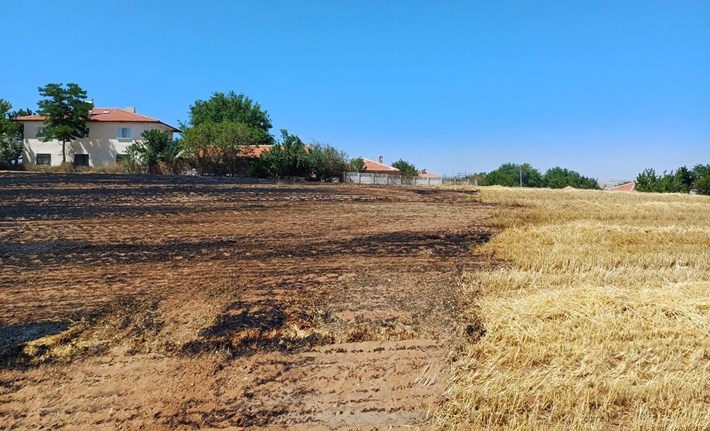 Rüzgarın etkisiyle hızla yayılan alevler mahallede kısa süreli paniğe neden oldu