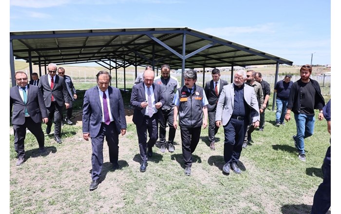 Sahipsiz sokak hayvanlarının ihtiyaçlarının karşılanacağı Doğal Yaşam Alanı tamamlandı (1)