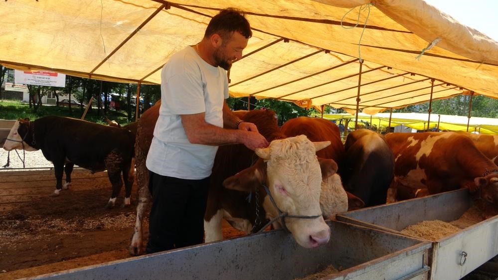 Şap hastalığı nedeniyle ülke genelinde tüm hayvan pazarları kapatıldı (1)