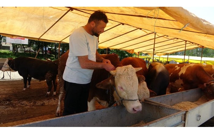 Şap hastalığı nedeniyle ülke genelinde tüm hayvan pazarları kapatıldı (1)