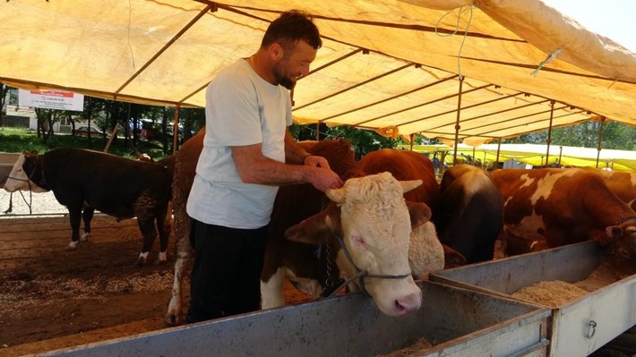 Şap hastalığı nedeniyle ülke genelinde tüm hayvan pazarları kapatıldı (1)