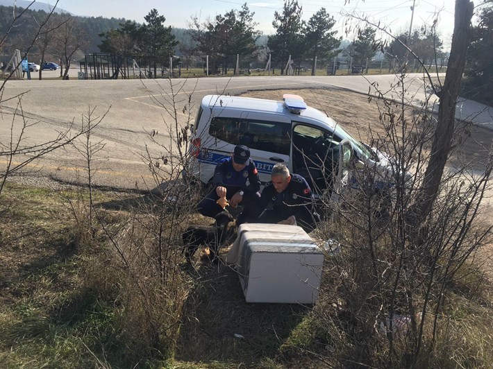 sokak hayvanları kışın zor durumda kalıyor
