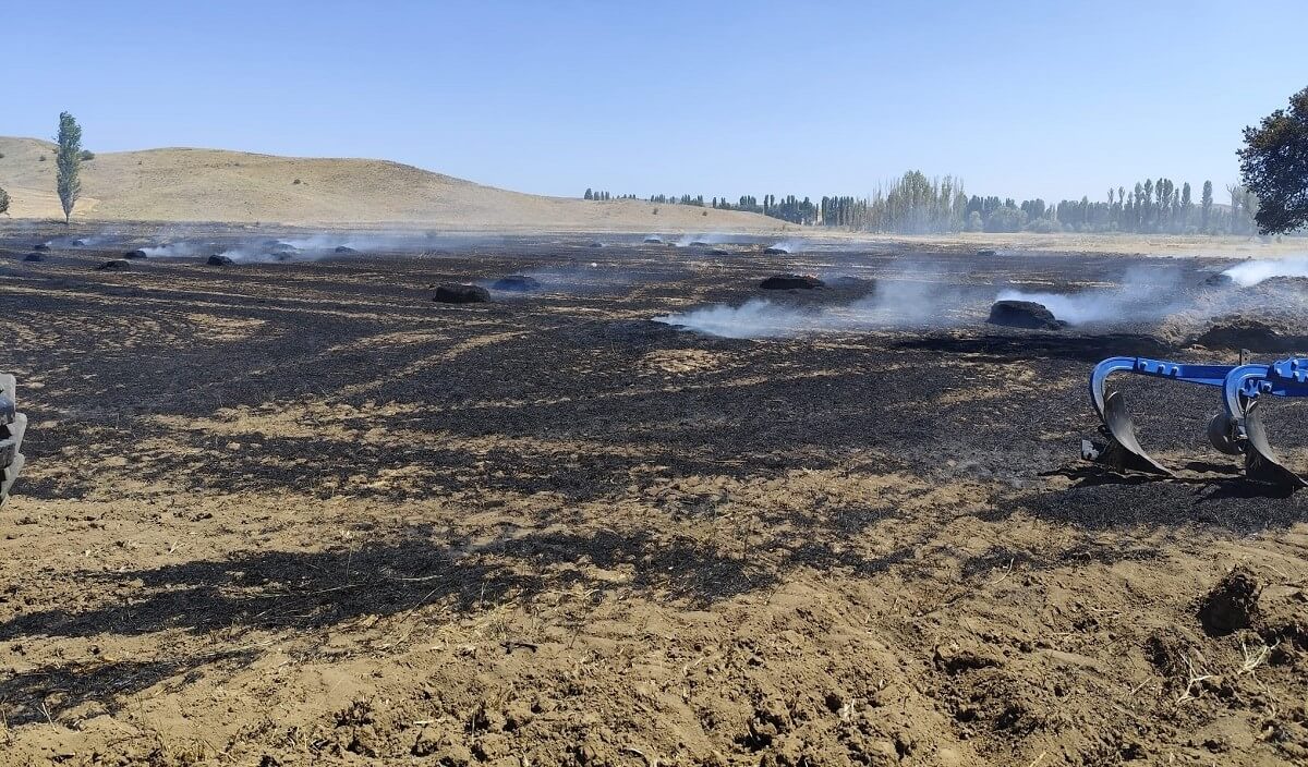 Sungurlu ilçesine bağlı Yörüklü köyünde bir tarlada yangın çıktı, saman balyaları kül oldu (2)
