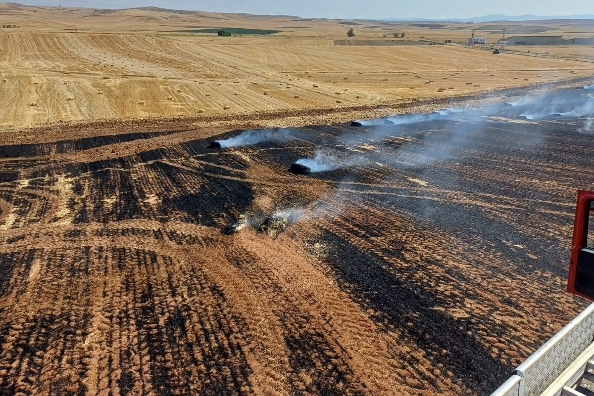 Tarla yangını, Alaca ilçesi Avutmuş köyünde meydan geldi (1)