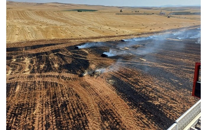 Tarla yangını, Alaca ilçesi Avutmuş köyünde meydan geldi (1)