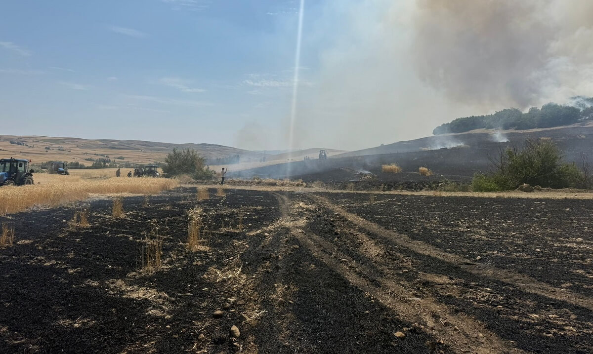 Tarlada çıkan yangın ormanlık alana ulaşmadan kontrol altına alındı (2)