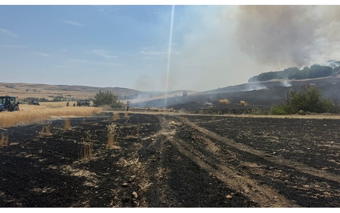 Tarlada çıkan yangın ormanlık alana ulaşmadan kontrol altına alındı (2)