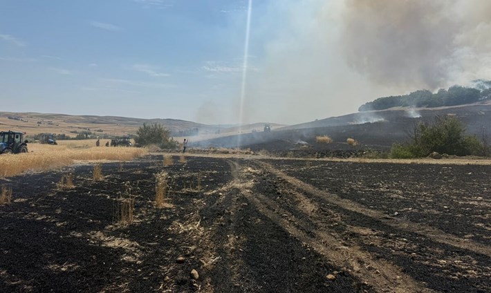 Tarlada çıkan yangın ormanlık alana ulaşmadan kontrol altına alındı (2)