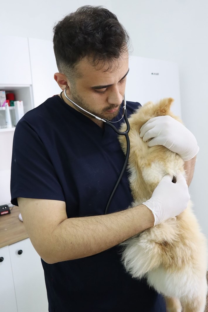 Veteriner Hekim Ferhat Can Karataş, iç ve dış parazit uygulamalarının hayati önem taşıdığını söyledi (2)