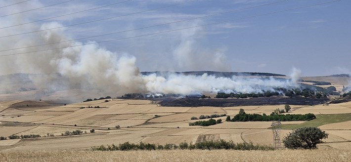 Yangın, Büyük Ekmekçi köyünde meydana geldi (1)