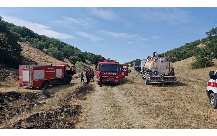 Yangın, Büyük Ekmekçi köyünde meydana geldi (2)