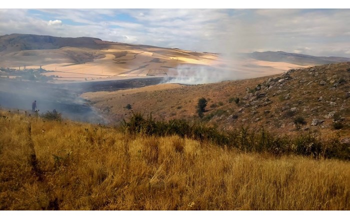 Yangın, ekili tarım arazisine ulaşmadan ekiplerin zamanında müdahalesiyle kontrol altına alındı 2
