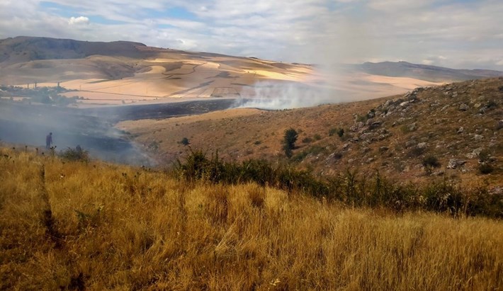 Yangın, ekili tarım arazisine ulaşmadan ekiplerin zamanında müdahalesiyle kontrol altına alındı 2