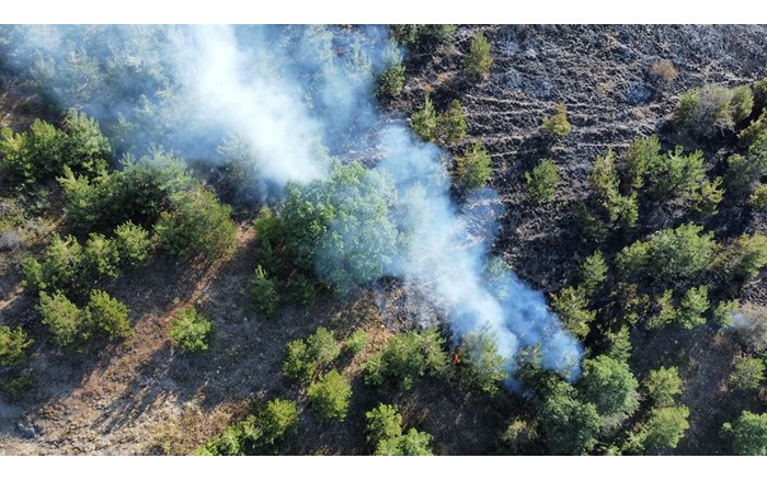 Yangında yaklaşık 1.000 dönümlük otluk ve ormanlık alan zarar gördü (1)