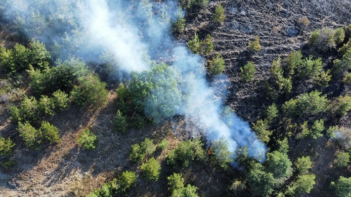 Yangında yaklaşık 1.000 dönümlük otluk ve ormanlık alan zarar gördü (1)