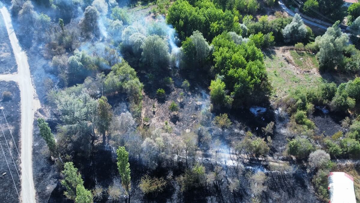 Yangında yaklaşık 1.000 dönümlük otluk ve ormanlık alan zarar gördü (2)