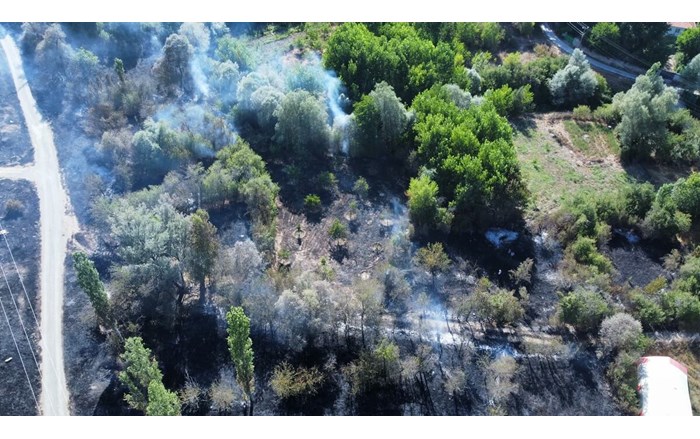 Yangında yaklaşık 1.000 dönümlük otluk ve ormanlık alan zarar gördü (2)