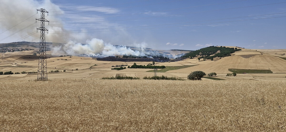 Yangında yaklaşık 200 dönüm ekili arazi zarar gördü