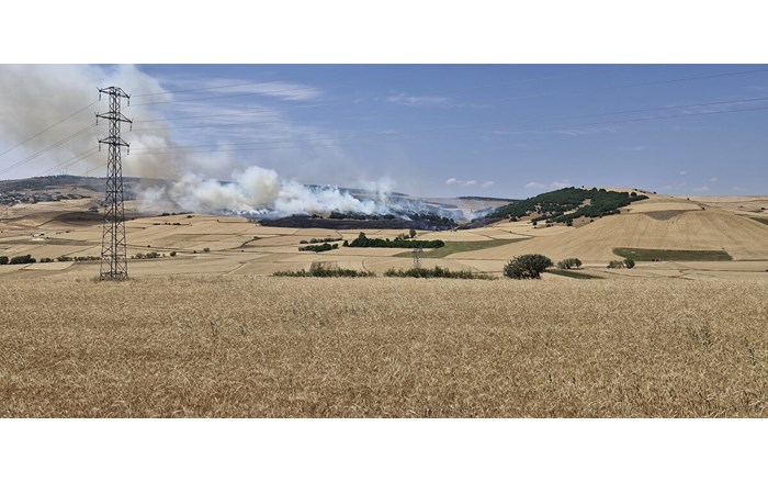 Yangında yaklaşık 200 dönüm ekili arazi zarar gördü