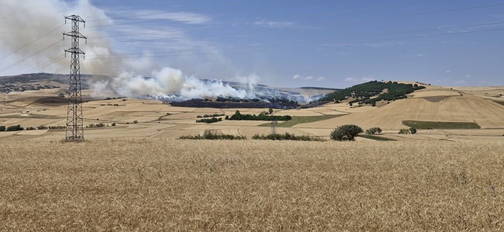 Yangında yaklaşık 200 dönüm ekili arazi zarar gördü