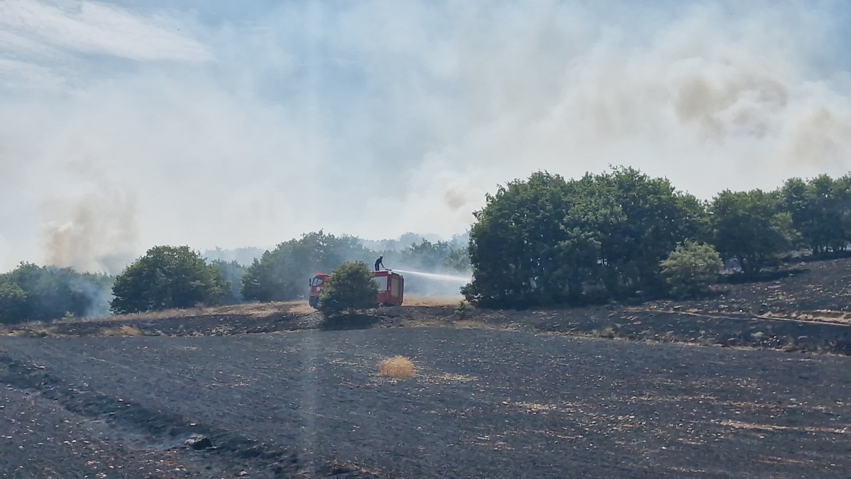 Yangının tarlaların hemen yanı başında bulunan ormanlık alana daha fazla sıçramadan söndürülmesi teselli kaynağı olurken, bu arada ormanın da bir kısmı yandı (3)