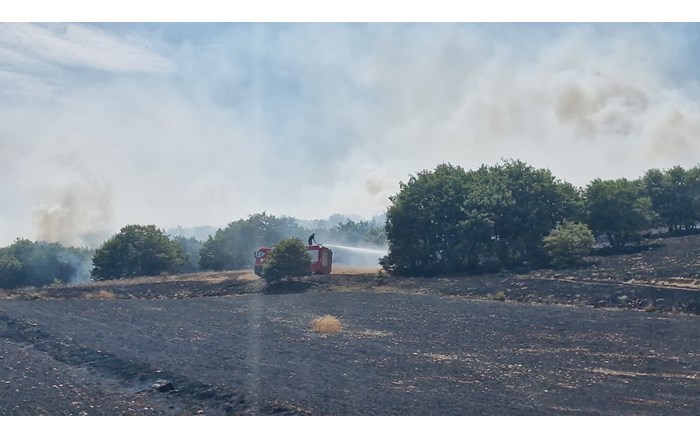 Yangının tarlaların hemen yanı başında bulunan ormanlık alana daha fazla sıçramadan söndürülmesi teselli kaynağı olurken, bu arada ormanın da bir kısmı yandı (3)