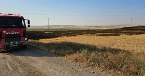 15 dönüm buğday ekili tarla alevlere teslim oldu