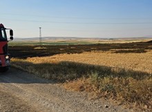 15 dönüm buğday ekili tarla alevlere teslim oldu