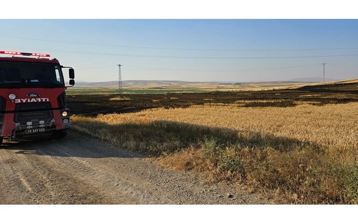 15 dönüm buğday ekili tarla alevlere teslim oldu