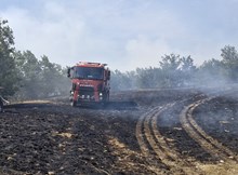 200 dönüm ekili arazi kül oldu