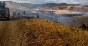 250 dönüm alan yandı